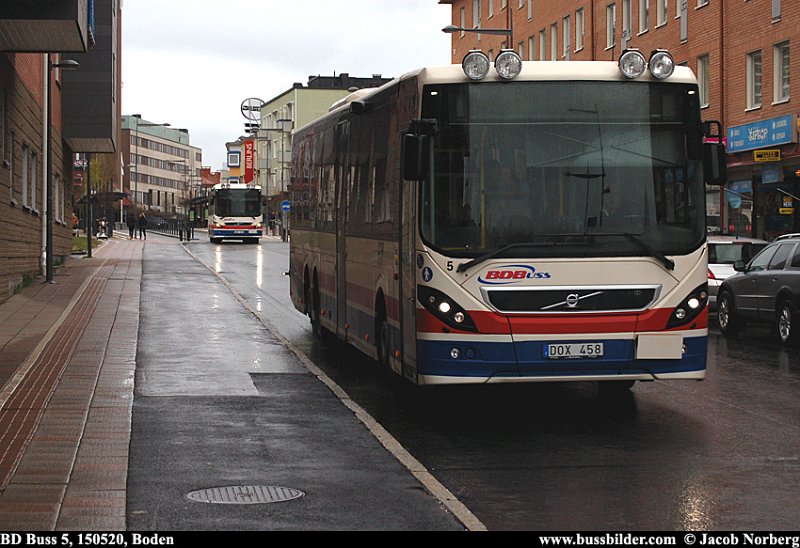 bdbuss_5_boden_150520.jpg