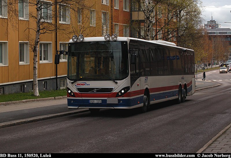 bdbuss_11_lule_150520.jpg