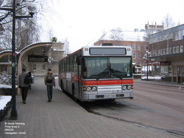 polarbuss_2_ume_060329.jpg