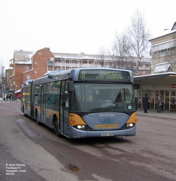 polarbuss_47_ume_060329.jpg