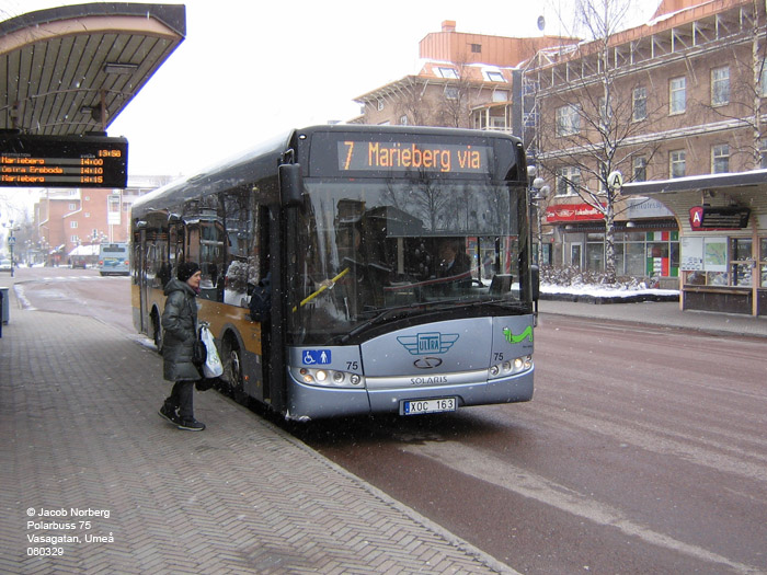 polarbuss_75_ume_060329.jpg