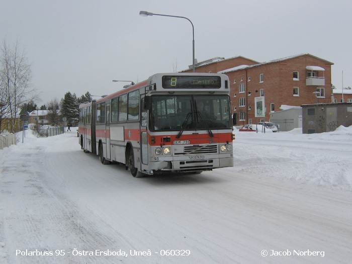 polarbuss_95_ume_060329.jpg