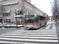 polarbuss_4_ume_060329