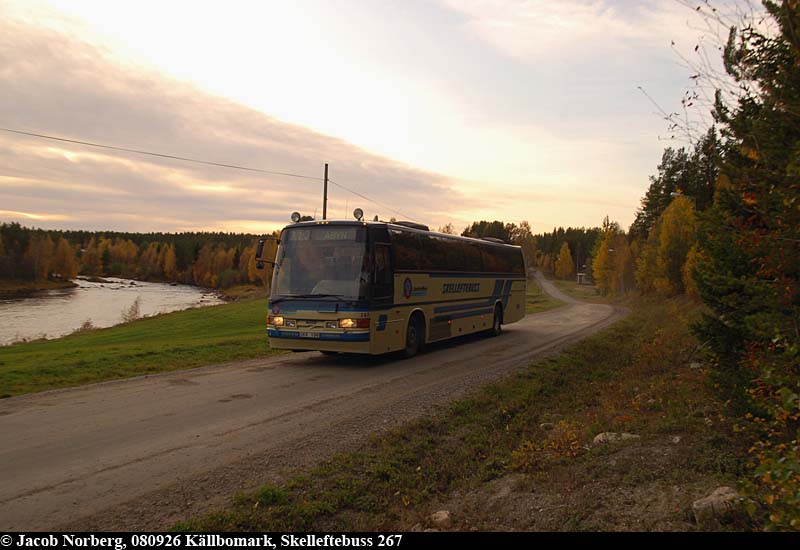 skelleftebuss_267_kallbomark_080925.jpg