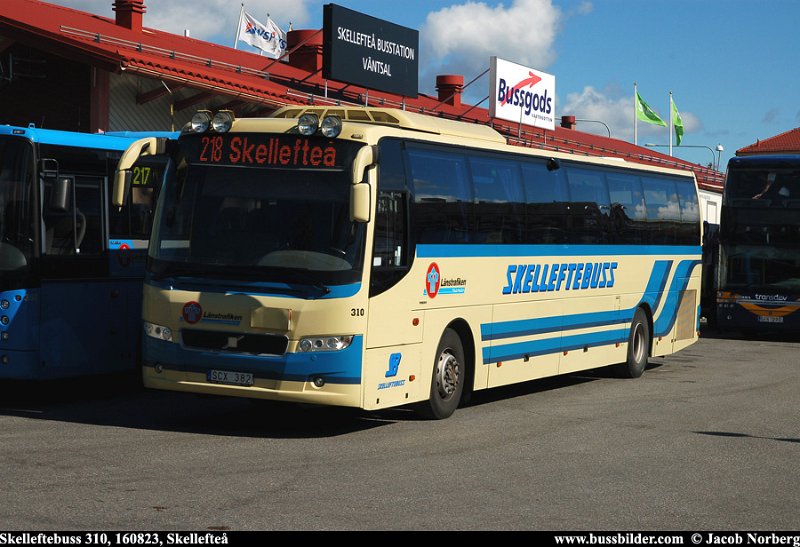 skelleftebuss_310_skellefte_160823.jpg