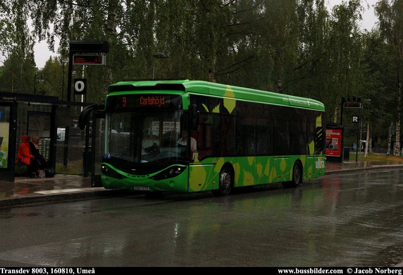 transdev_8003_ume_160810.jpg