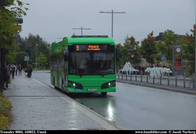 transdev_8004_ume_160822.jpg