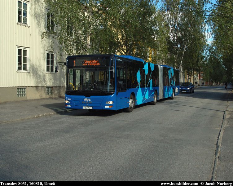 transdev_8031_ume_160810.jpg